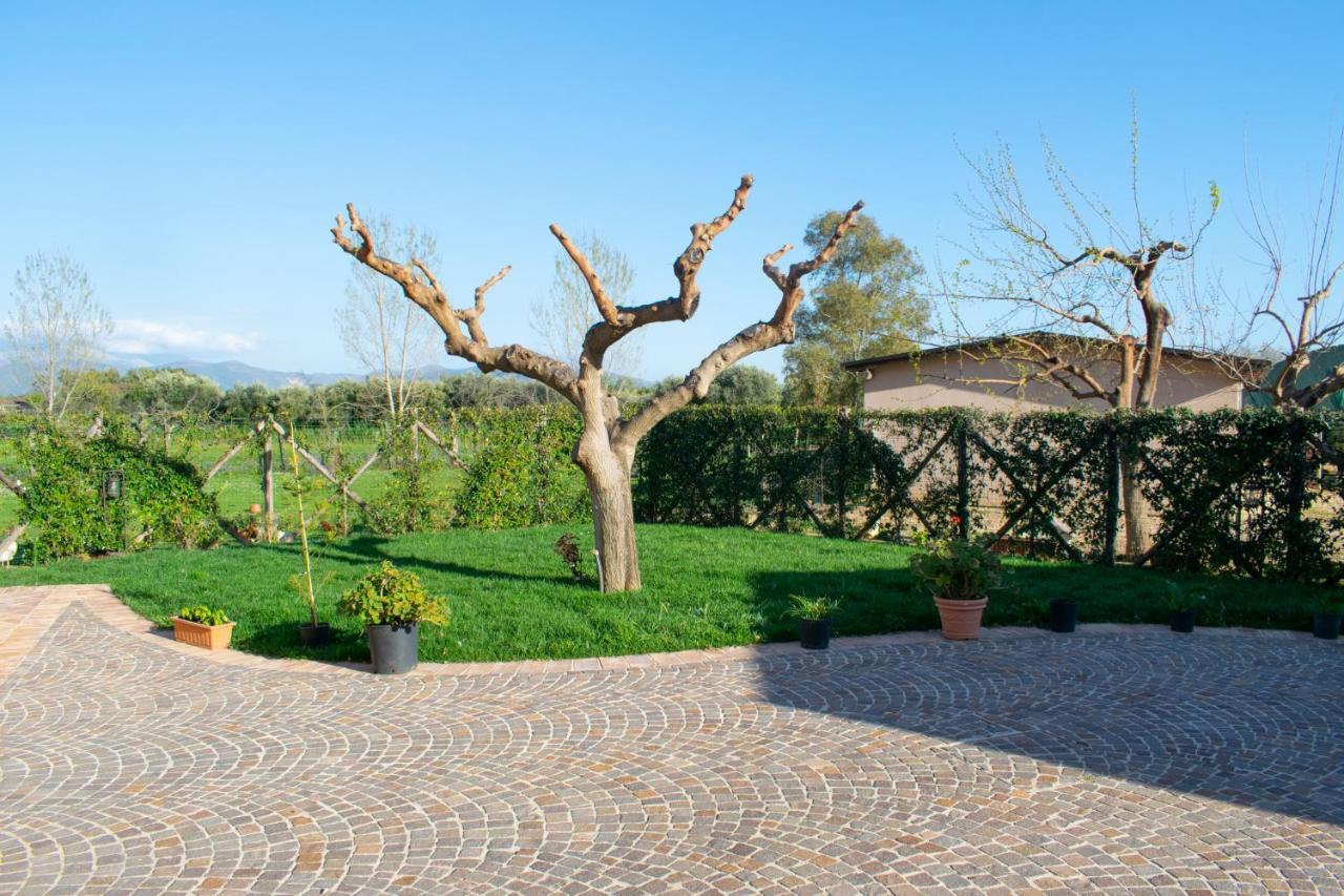 Camera Iris - B&B Antico Casale Monte San Biagio Εξωτερικό φωτογραφία